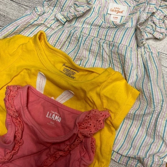 Baby Girl Clothing Bundle 6-9 Months (Various Brands) - Picture 7 of 11